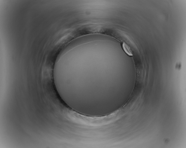 X0000102390035200808011610