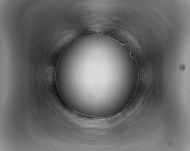 X0000102390036200808011610