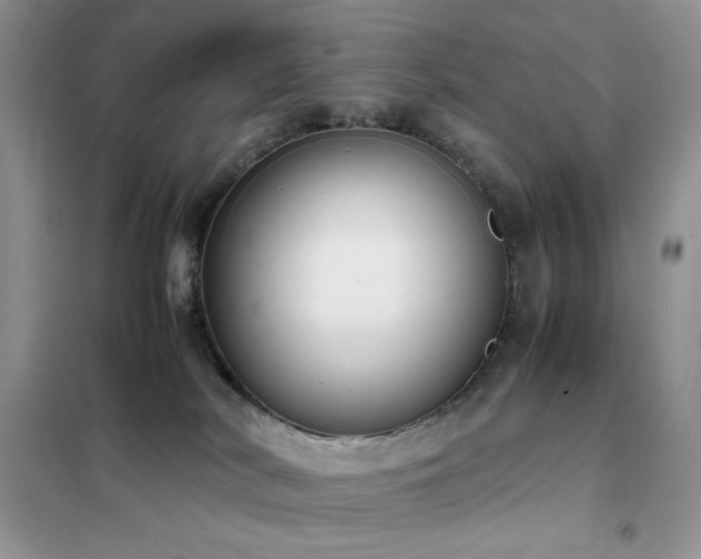 X0000102390038200808011610