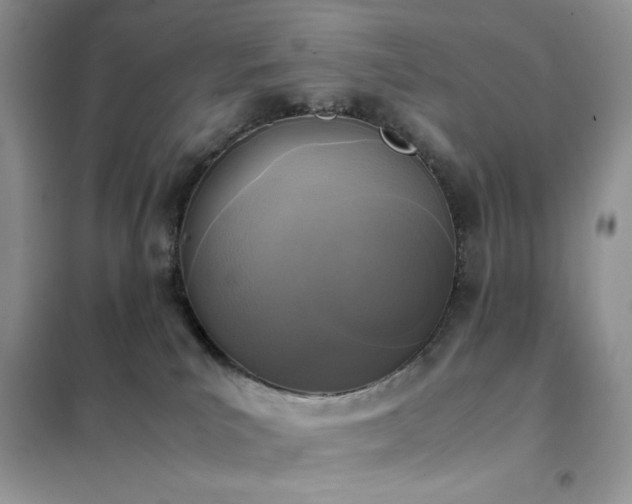 X0000102390039200808011610