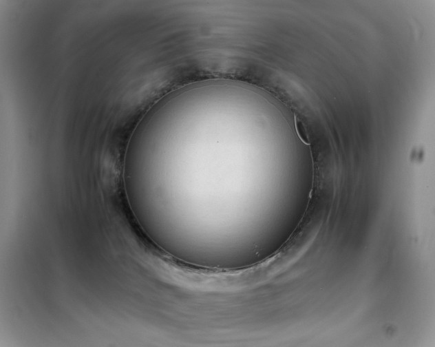 X0000102390040200808011610