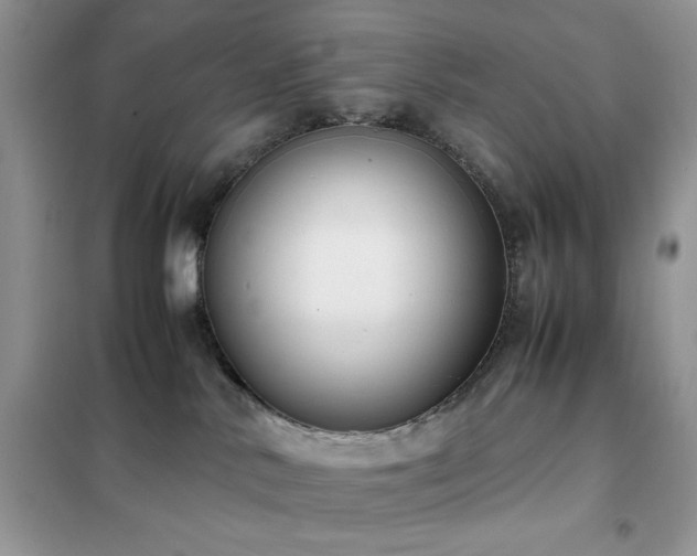 X0000102390042200808011610