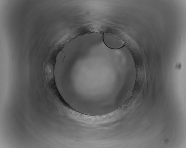 X0000102390043200808011610