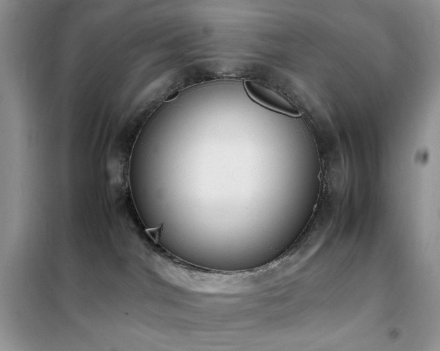 X0000102390044200808011610