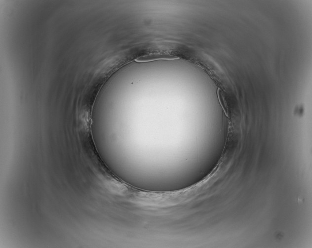 X0000102390045200808011610