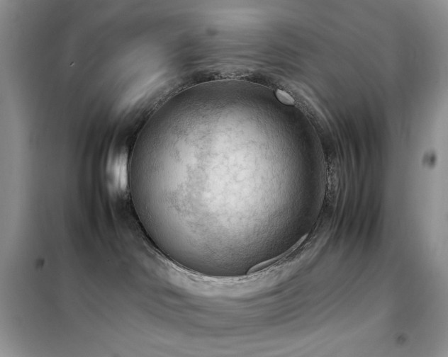 X0000102390046200808011610