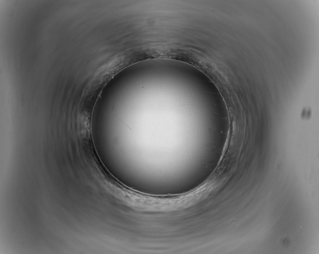 X0000102390048200808011610