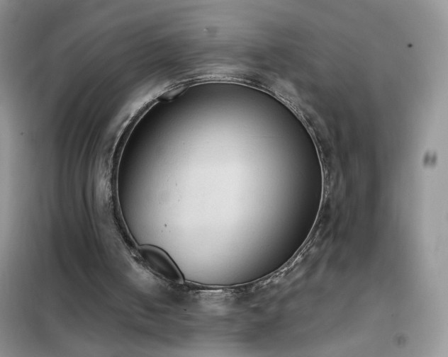 X0000102390050200808011610