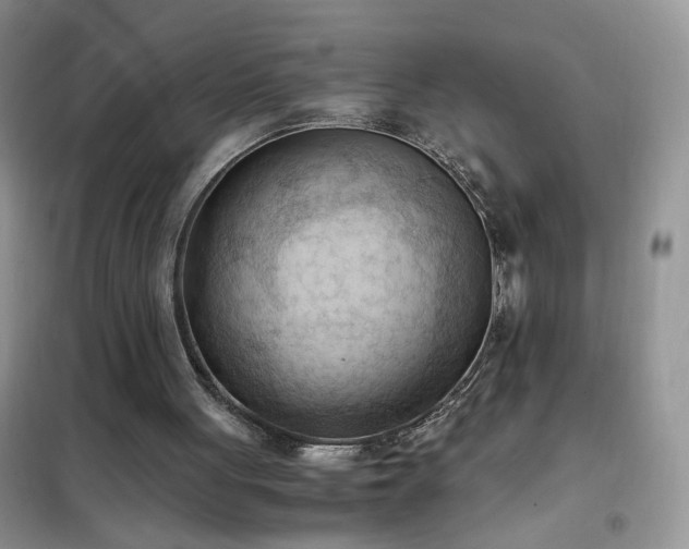 X0000102390051200808011610