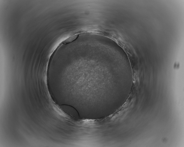 X0000102390052200808011610