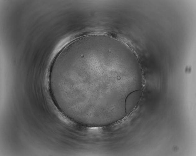 X0000102390053200808011610