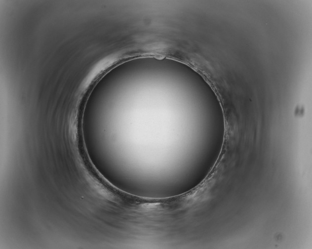 X0000102390054200808011610