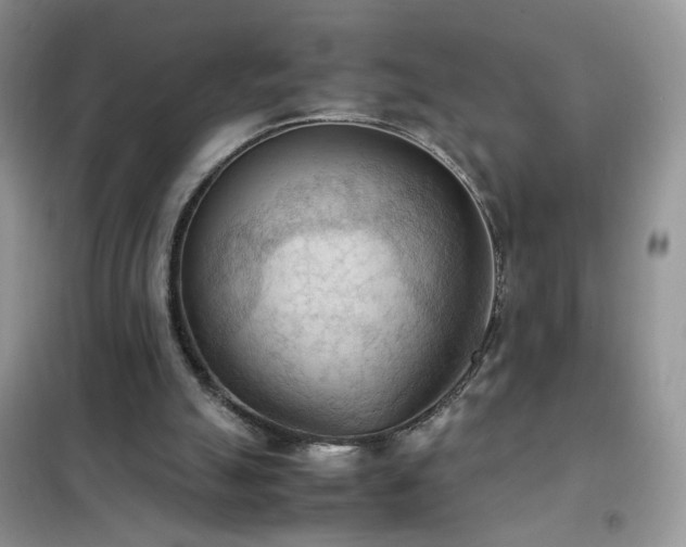 X0000102390055200808011610