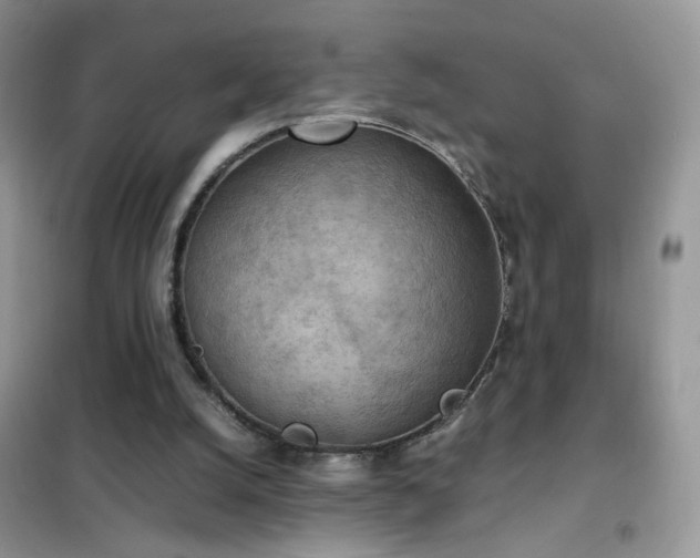 X0000102390056200808011610