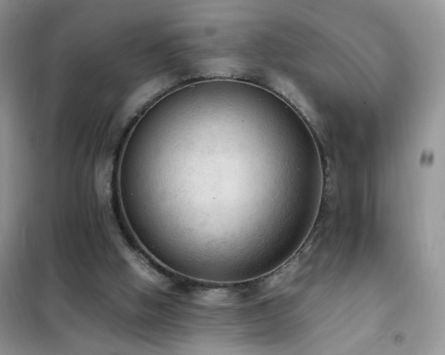 X0000102390058200808011610