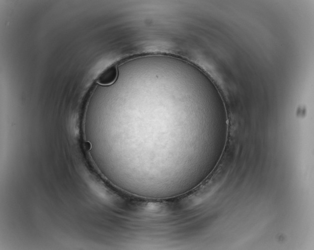 X0000102390060200808011610