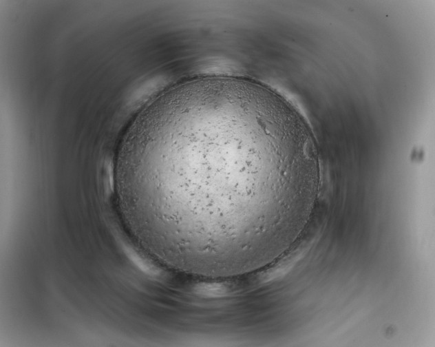 X0000102390061200808011610