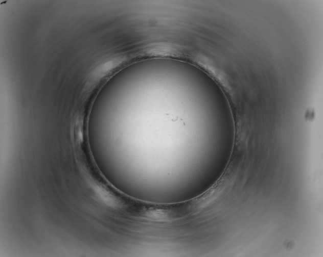 X0000102390062200808011610