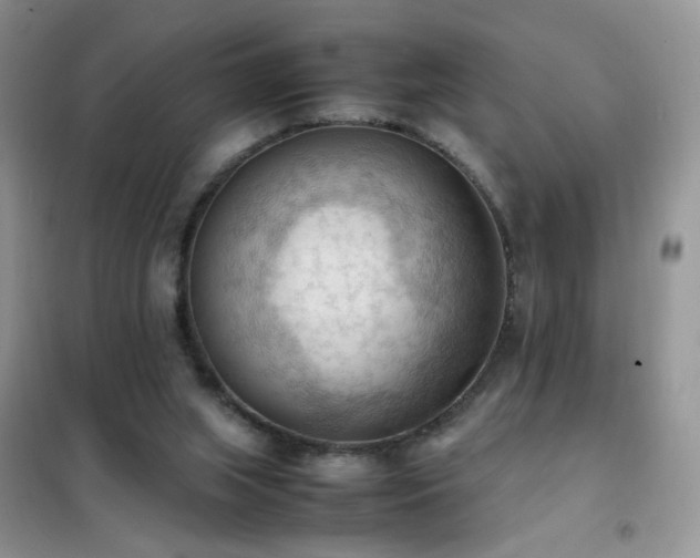 X0000102390063200808011610