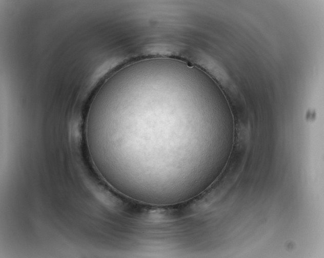 X0000102390064200808011610