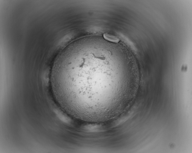 X0000102390065200808011610