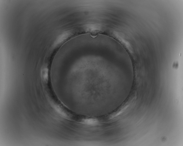 X0000102390067200808011610