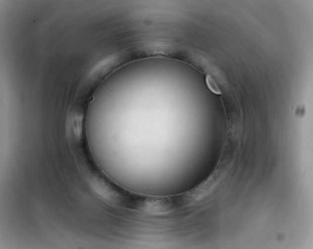 X0000102390070200808011610