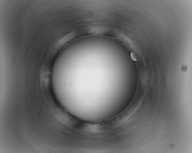 X0000102390071200808011610