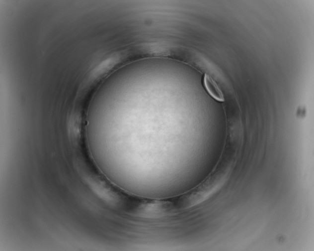 X0000102390072200808011610