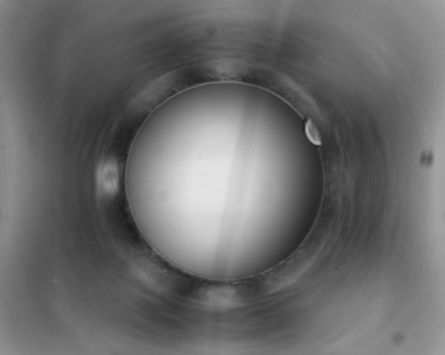 X0000102390075200808011610