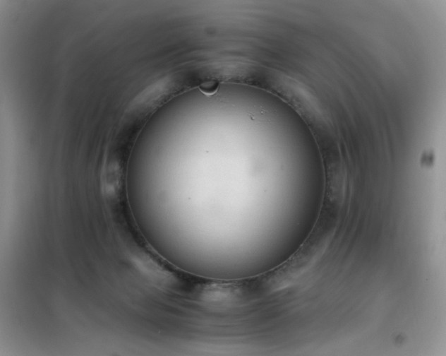 X0000102390077200808011610