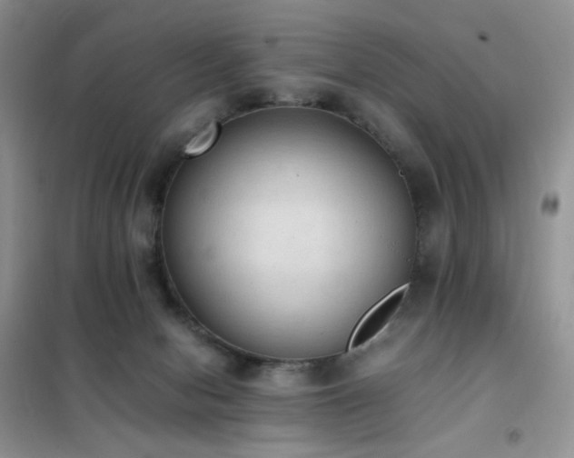 X0000102390078200808011610