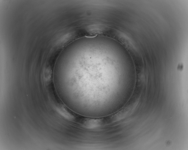 X0000102390081200808011610