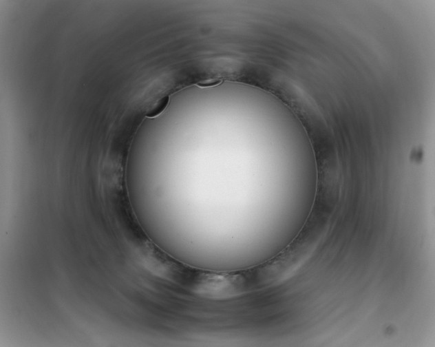 X0000102390083200808011610