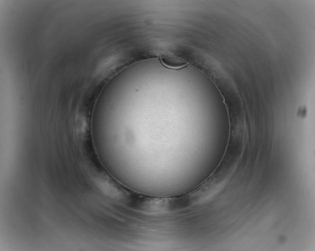 X0000102390084200808011610