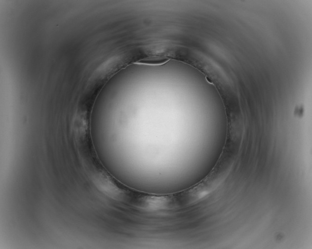 X0000102390085200808011610