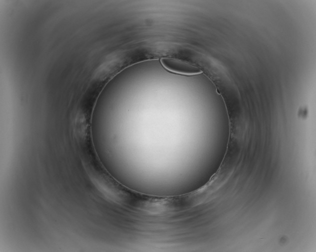 X0000102390086200808011610