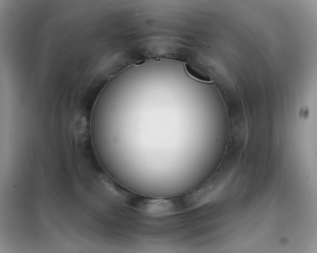 X0000102390087200808011610