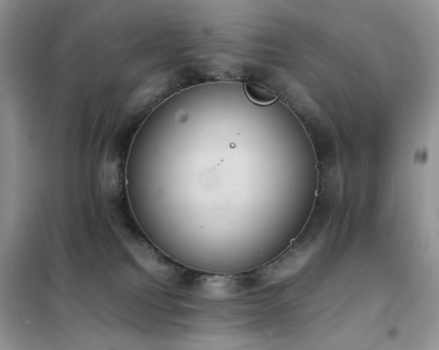 X0000102390088200808011610