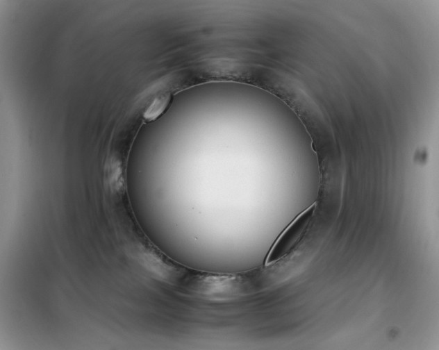 X0000102390089200808011610