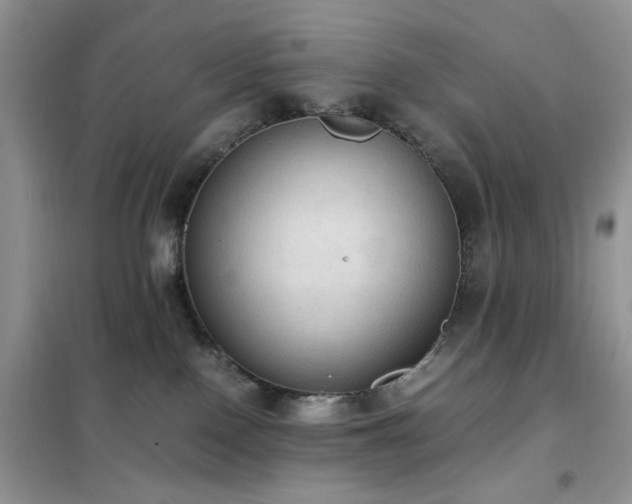 X0000102390090200808011610