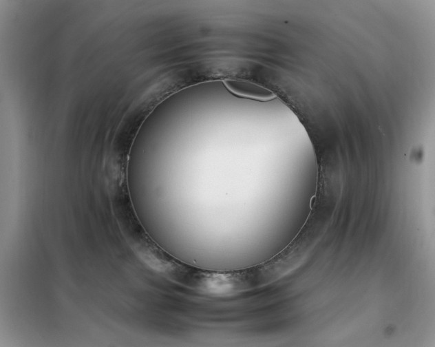 X0000102390091200808011610