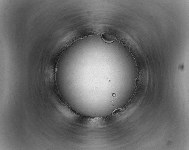 X0000102390092200808011610