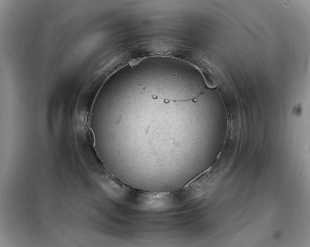 X0000102390093200808011610