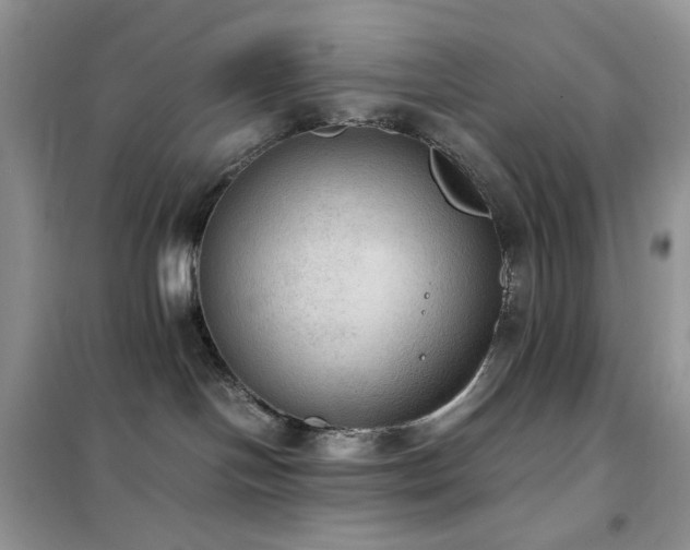 X0000102390094200808011610