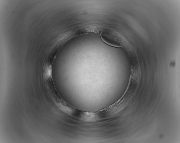 X0000102390095200808011610