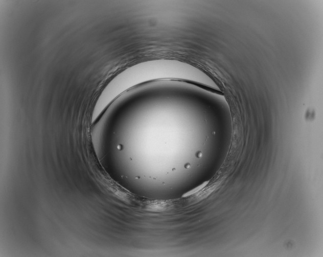 X0000102390096200808011610