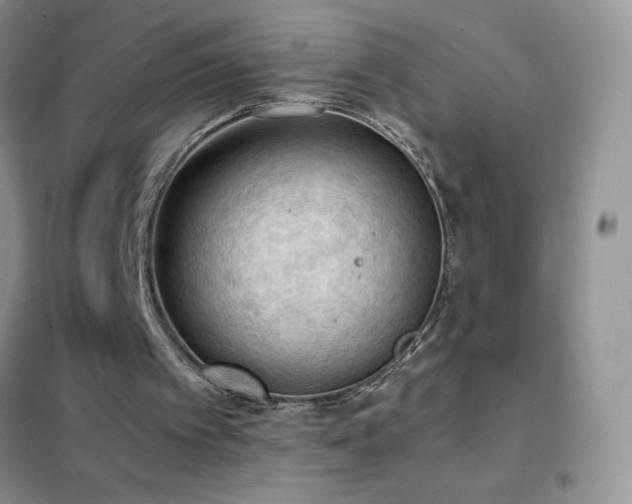 X0000102390097200808011610