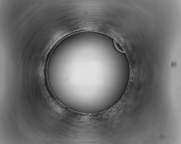 X0000102390098200808011610