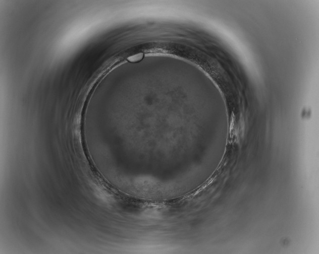 X0000102390099200808011610